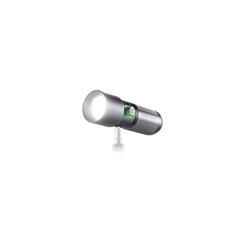 NEEWER BASICS FL10 Portable LED Lamp